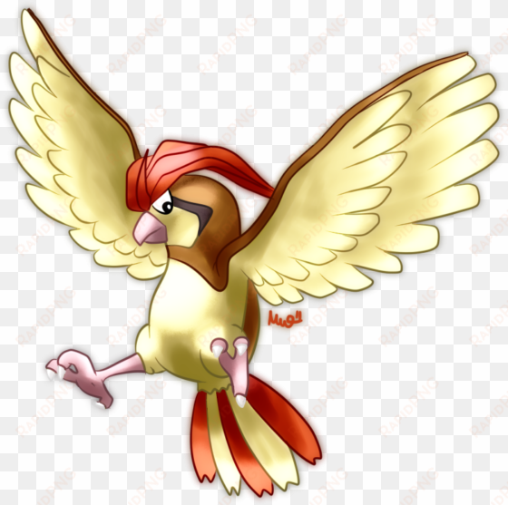 image - pidgeotto