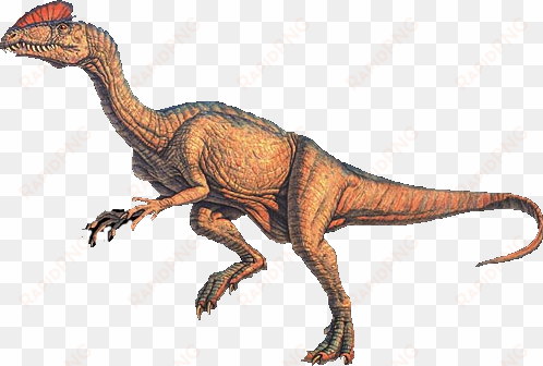 imagen del dinosaurio dilophosaurus