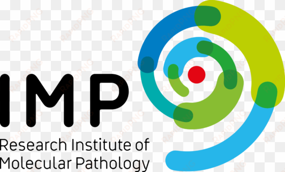 imp logo transparent (png - institute of molecular pathology