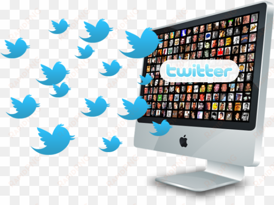 importance and ways of getting twitter followers - seguidores en twitter