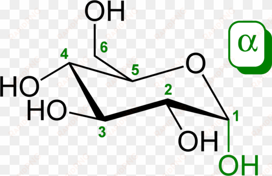 in 3d terms, glucose molecules, when cyclised exist - d glucose