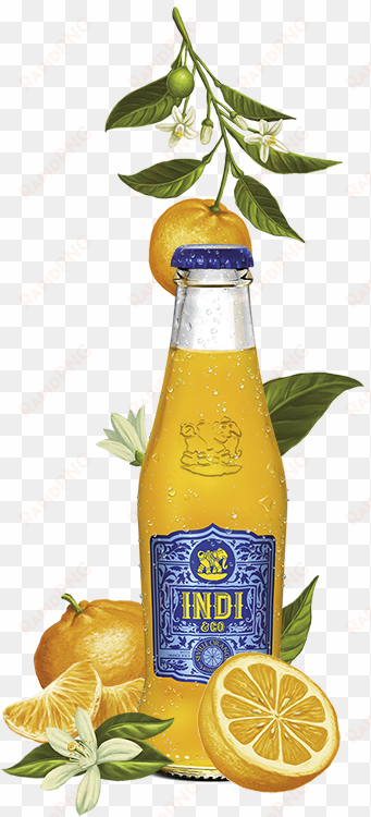indi & co seville orange juice 200ml nrb