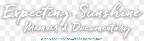 indiegogo crowdfunding update - alexis marie chute
