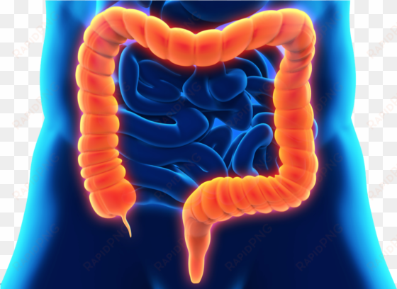 inflammatory bowel disease dr - bowl disease png