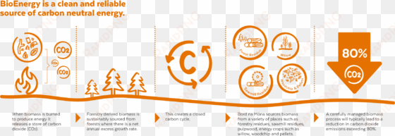 infographic image - infographic