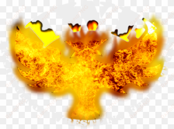 insurgency wrestling federation - explosions