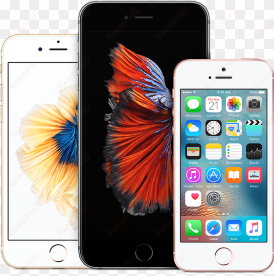 iphone express replacement service - iphone se price in india 16gb