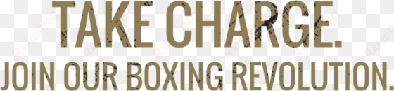 irongloves offers personal training and boxing boot - vintage photography logo png