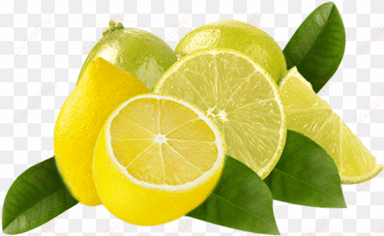 it has anti fungal and anti septic properties, which - persian lime