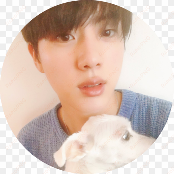 jin bts tumblr - bts jin and jjanggu