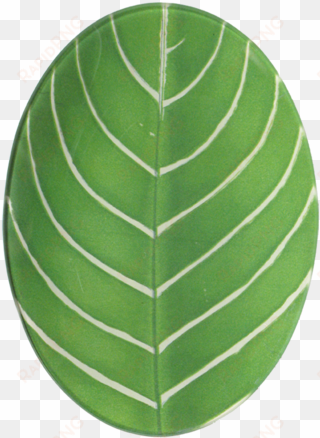 john derian company inc fern leaf - platter