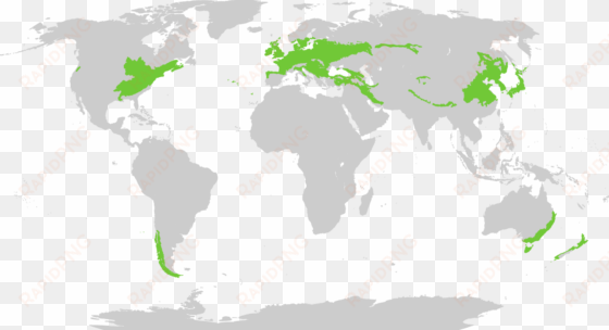jpg library stock the different types of - northern elephant seal range