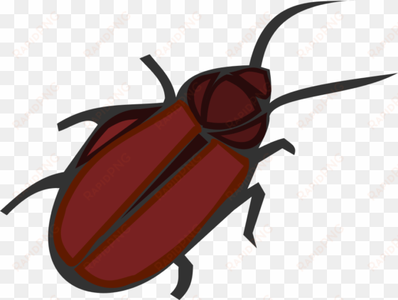 kêber, cucaracha, cucaracha - cucaracha caricatura png
