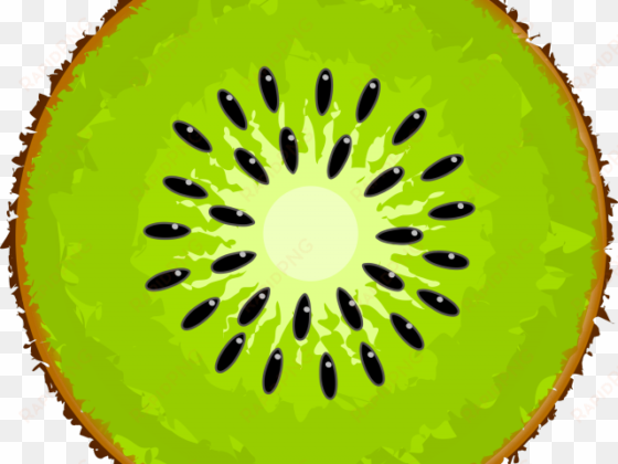 kiwi clipart kiwi slice - kiwi fruit clip art