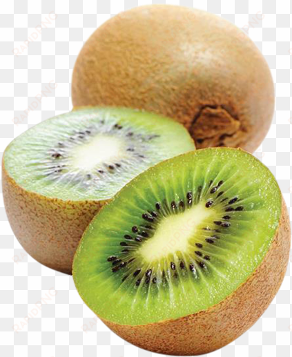 kiwi fruit - kiwifruit