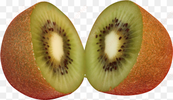kiwifruit png image - kiwifruit