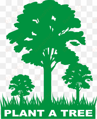 koforidua, june 08, gna-a total of 100 trees had been - tree plantation and maintenance
