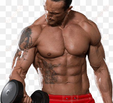 learn how to build muscle and lose weight at legal - muscle