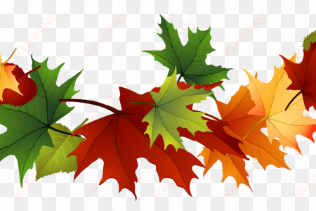 leaves clipart transparent background - fall leaves free clip art