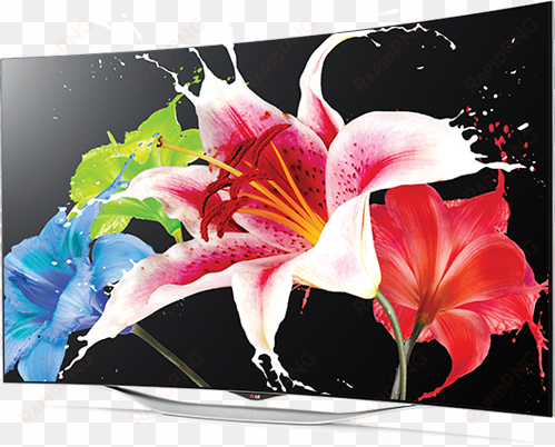 lg 55 inch - oled curved tv png
