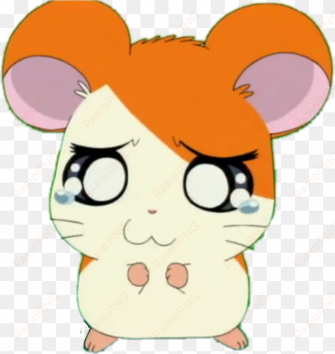 line hamtaro stickers