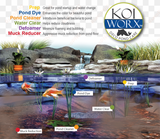 line of crystal blue pond colorants, dye, and cleaners - sanco industries koiworx muck reducer, 145 tablets,