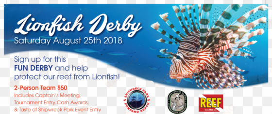 lion fish derby & tasting - lionfish
