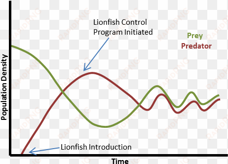 lionfish population dynamics - diagram