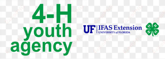 logo logo logo logo logo - florida