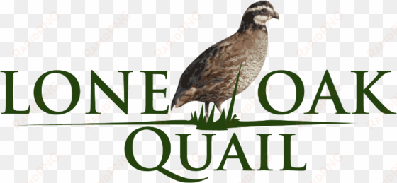 lone oak quail - benchmark space systems
