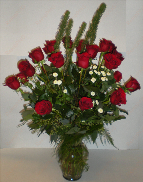 long stem roses by the dozen