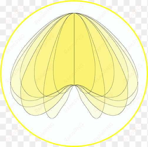 loop batwing detail - circle
