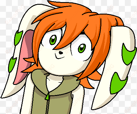 main image - freedom planet milla face