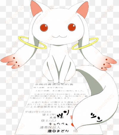 make a contract with me - puella magi madoka magica akemi anime cosplay sun rain