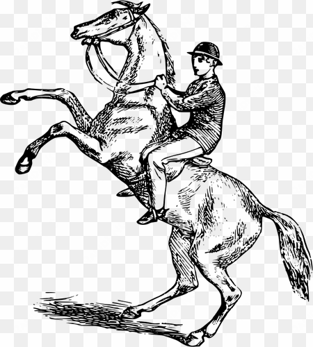 man riding a rearing horse vector image public domain - horse riding clip art