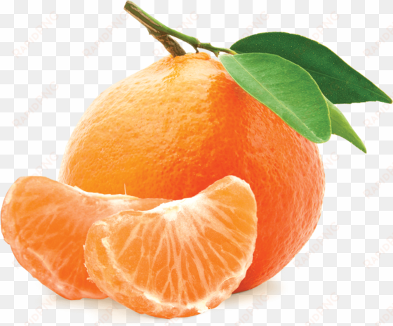 mandarin png - free mandarin png