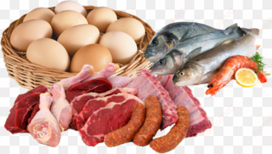 meat fish and egg
