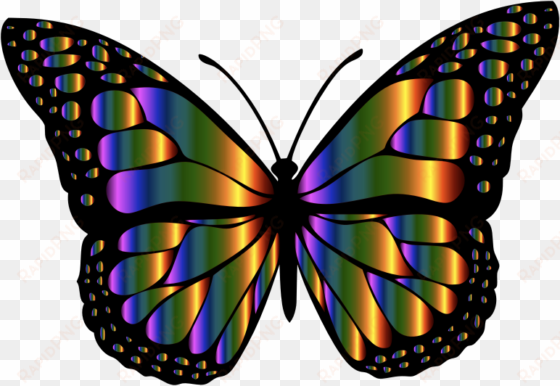 medium image - monarch butterfly butterfly clip art