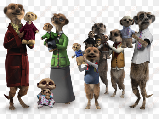 meerkat toys - compare the market meerkats