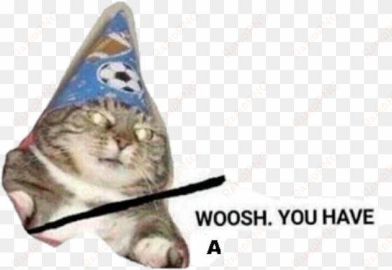 memes pyrocinical nfkrz dankmemes - swoosh you have smol pener