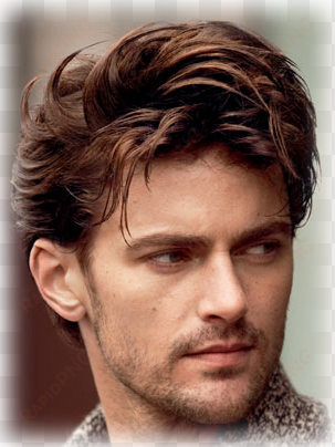 men hair only png - bronze hair color men
