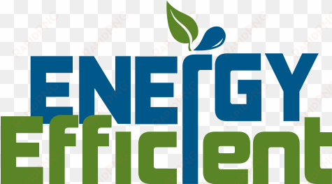 michael phelps signature swim spa features - energy efficient logo