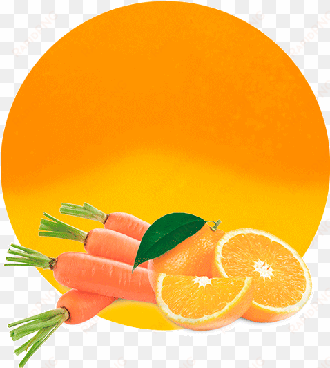 mix orange veggies & fruit compound - clementine