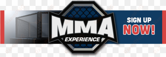 mma experience - mixed martial arts