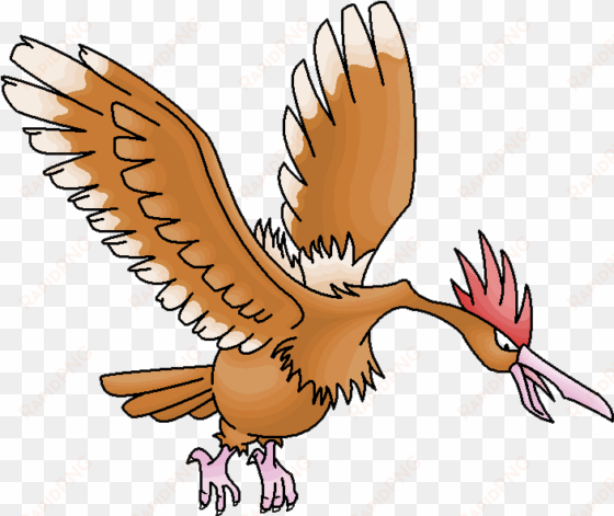 ¿moda del pelo pidgeotto - pokemon fearow