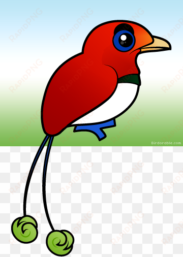 more products - king bird of paradise birdorable