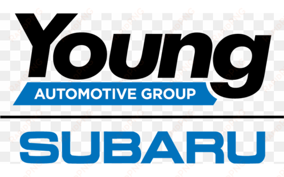 more than 150 dogs and cats were adopted out during - genuine subaru e551sal200 bumper underguard, rear