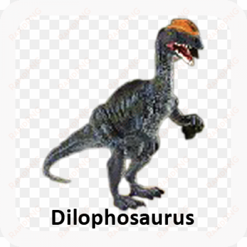 more views - collecta 88137 dilophosaurus -