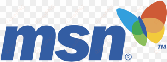 msn logo vector
