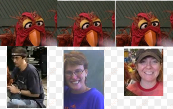 muppet wiki behind the scenes sesame street sing with - the muppets
